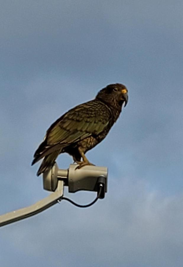 Kea Retreat Βίλα Franz Josef Εξωτερικό φωτογραφία